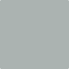 Benjamin Moore Color HC-165 Brewster Gray